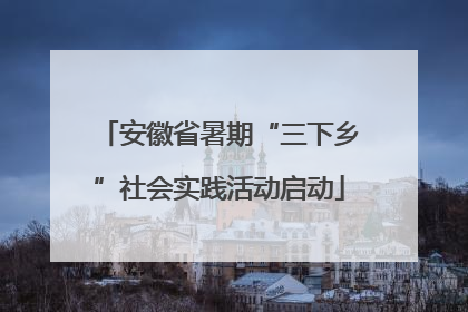 安徽省暑期“三下乡”社会实践活动启动